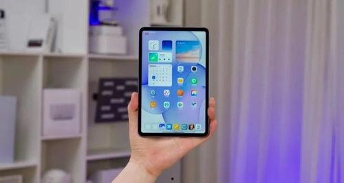 最新小平板爆料网站大全,一网打尽最新资讯，尽享科技盛宴